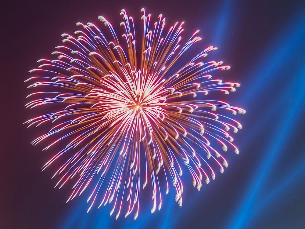 a colorful fireworks display in the night sky