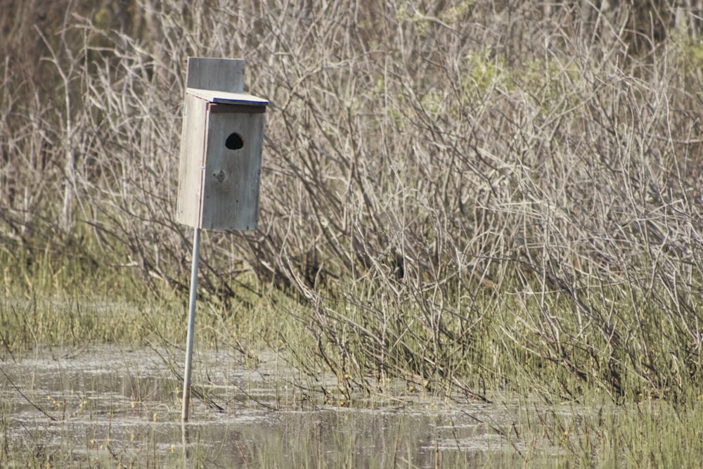 a bird house in the middle of a swamp