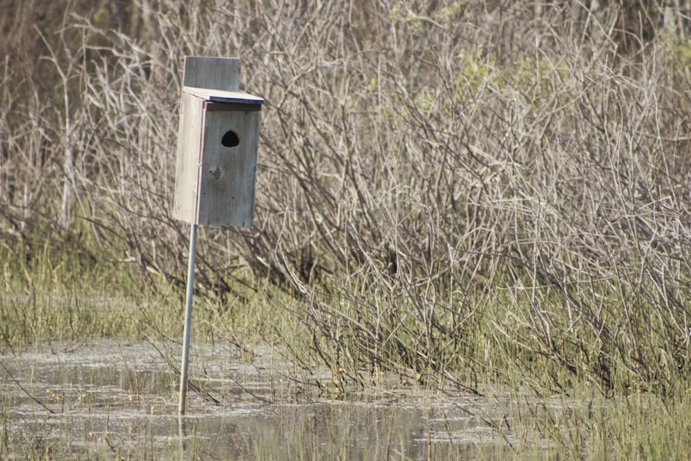 Una casa para pájaros en medio de un pantano