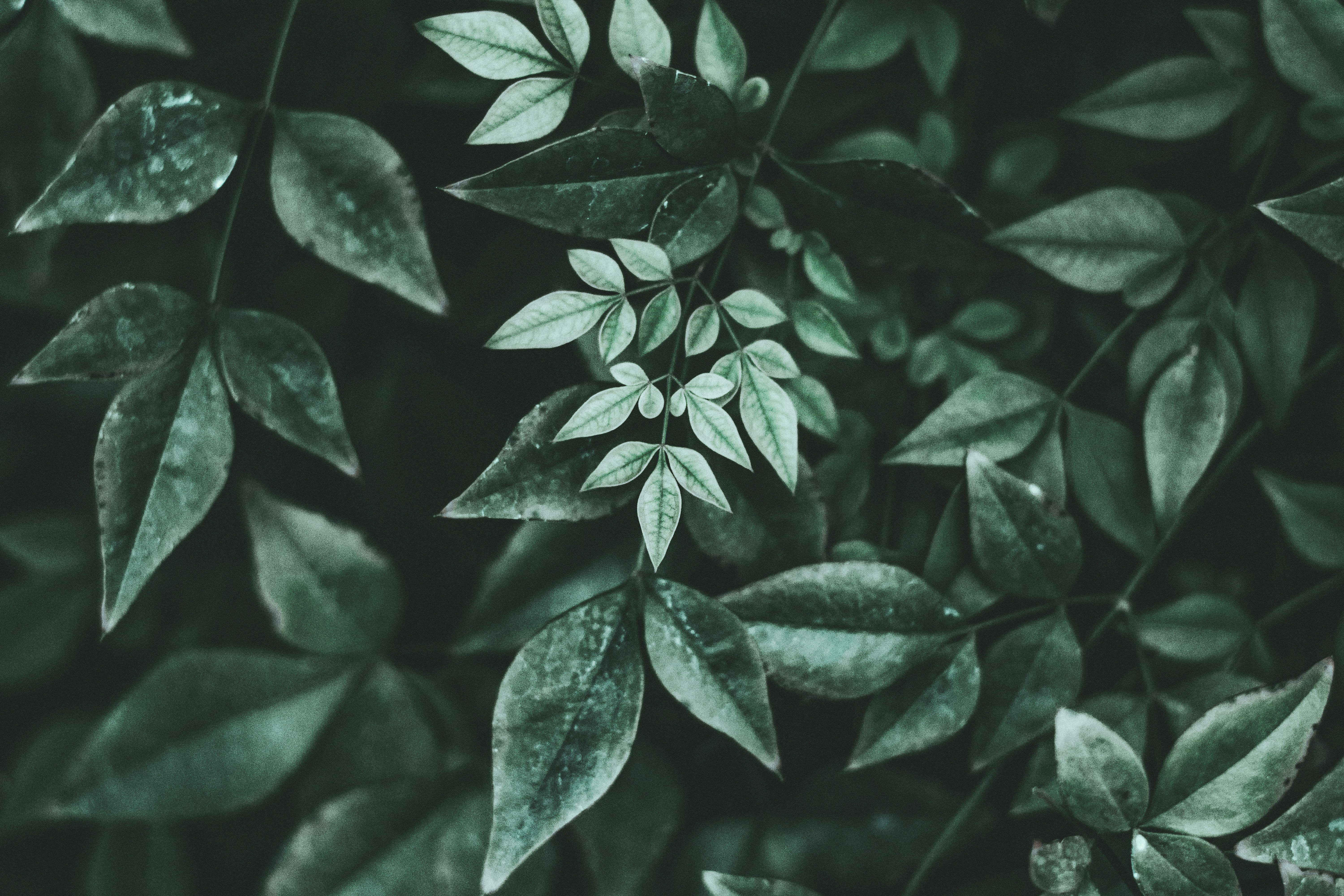 Photo by sinewavekid