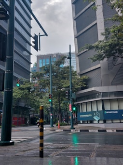 A city street with tall modern buildings and a wet, reflective pavement. The traffic lights show green, and several poles and bollards are visible. The trees lining the street add greenery to the urban setting, and there is a bank advertisement on one building.