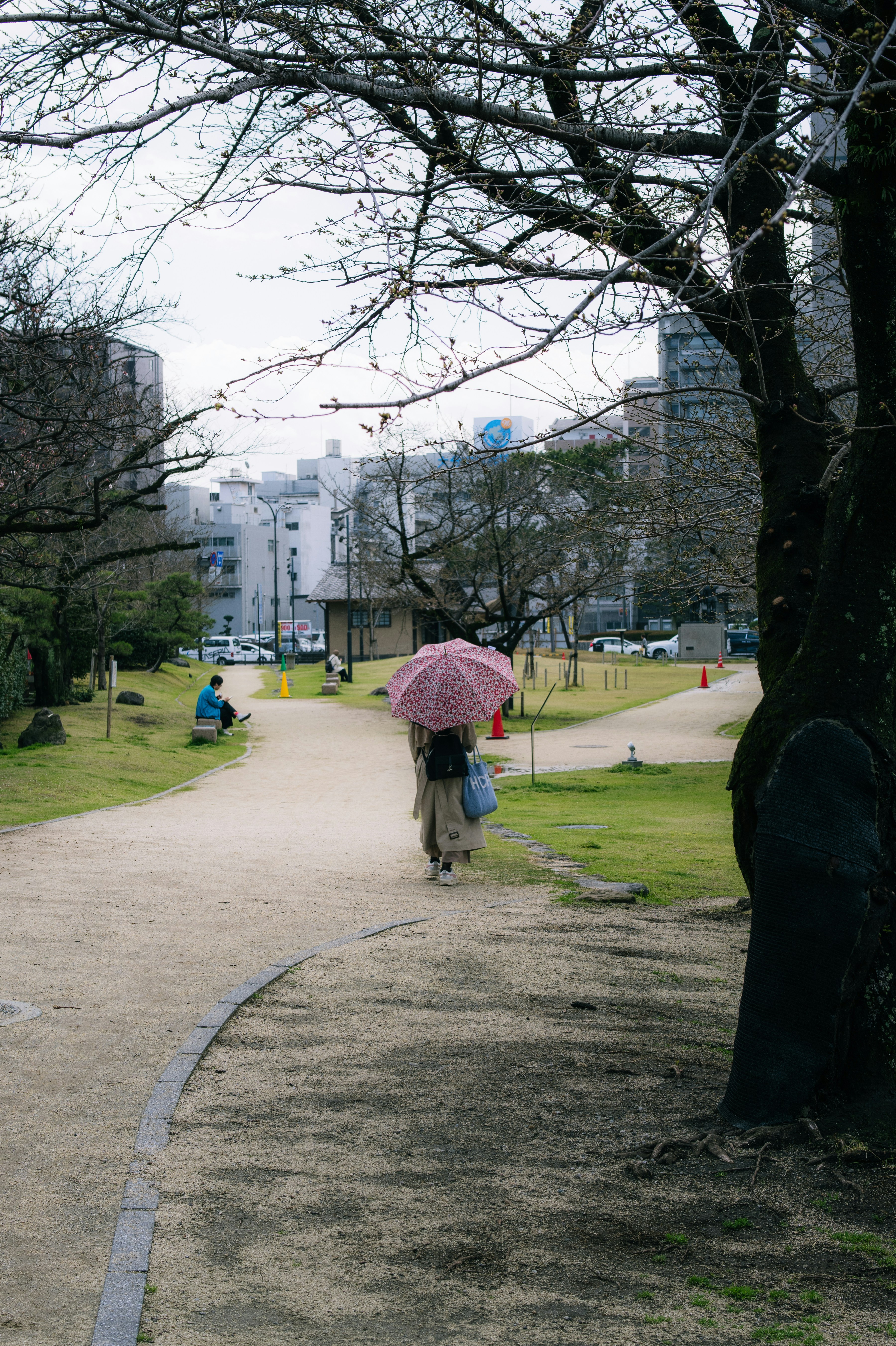 Photo by pafuxu