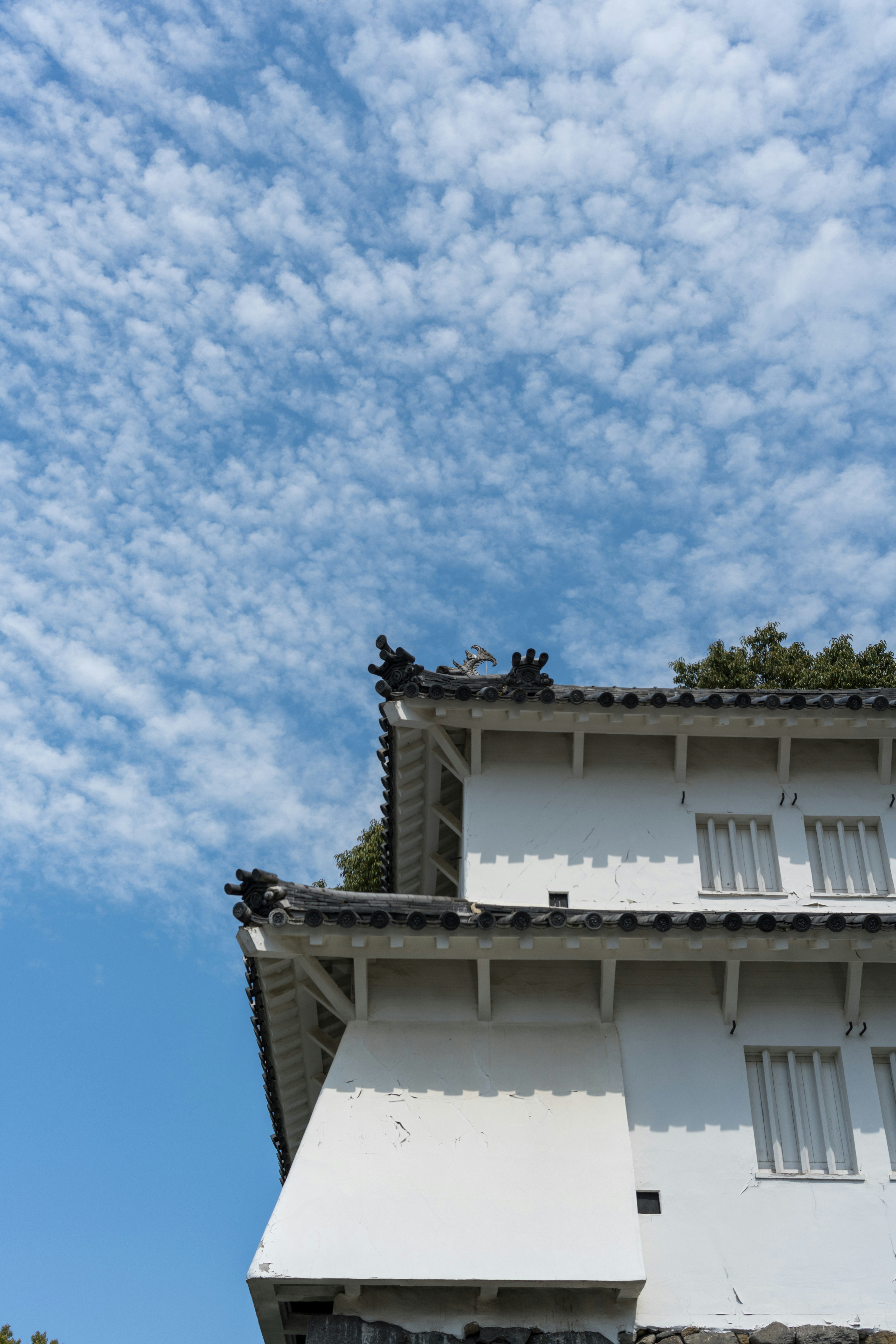 Photo by pafuxu