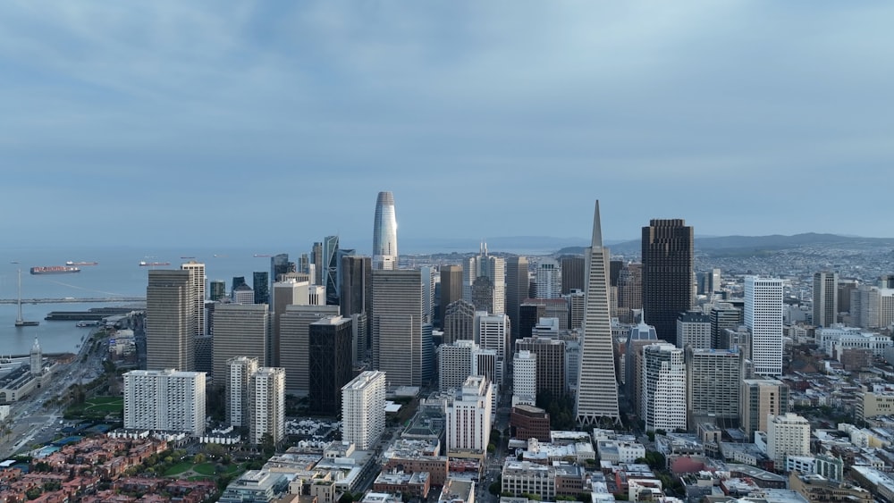 a view of a large city with tall buildings