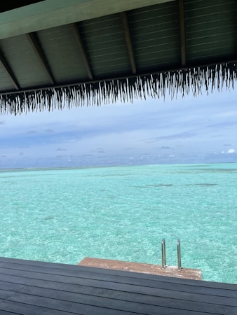 A serene view of a turquoise ocean stretches out to the horizon under a clear blue sky. A thatched roof partially covers the scene from above, casting a shadow over a wooden deck area. A small set of metal steps leads down to the inviting water.