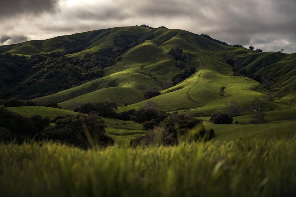 a lush green hillside under a cloudy sky