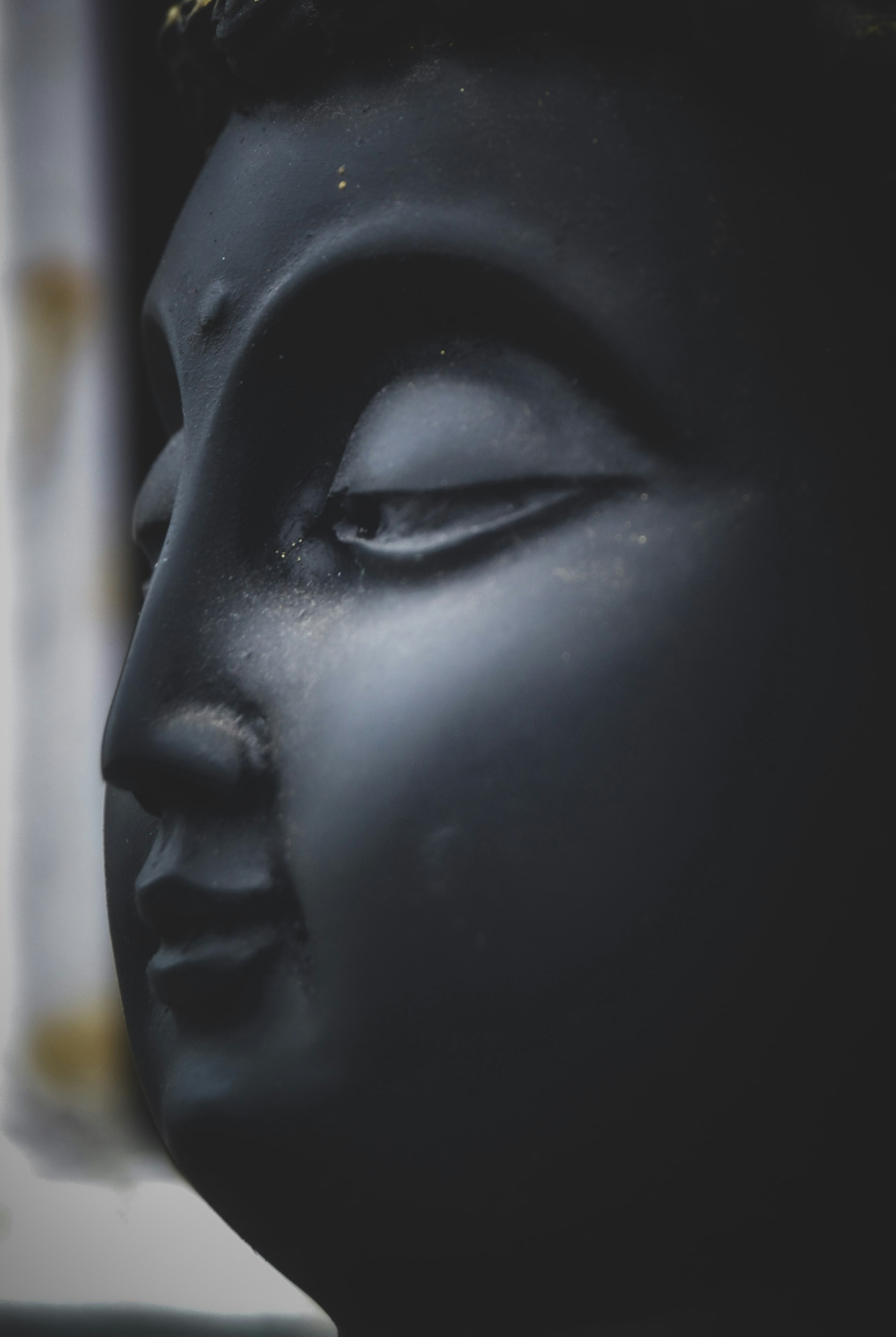 Photo by bestppictures