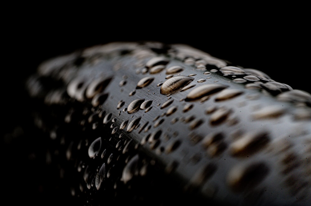 a close up of a bicycle tire with drops of water on it