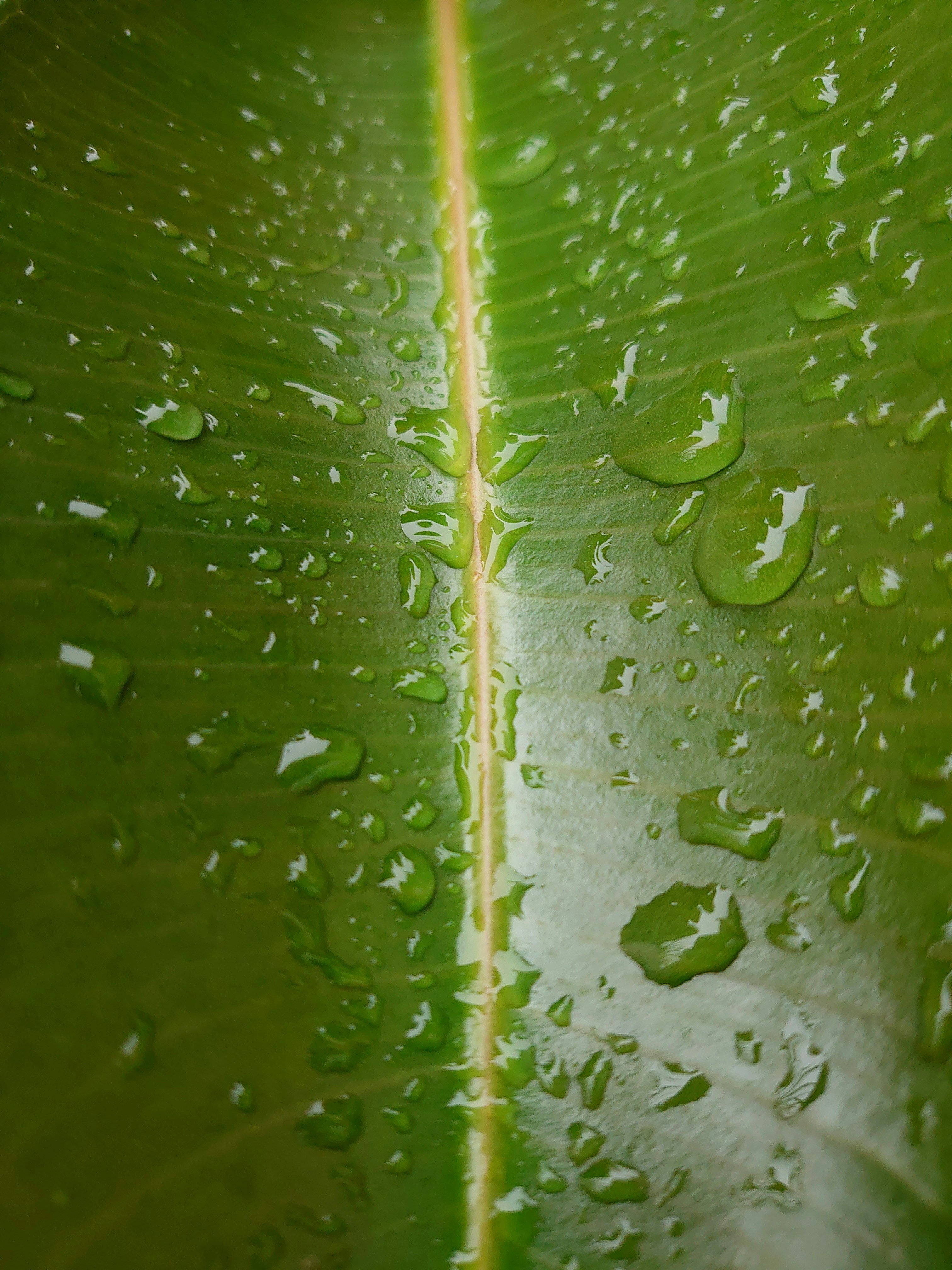 Photo by ozthemortal