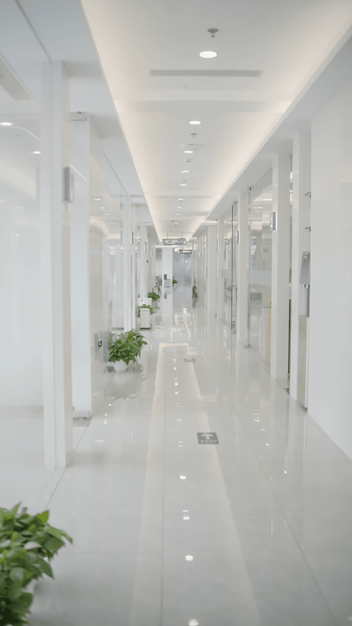 Commercial painters Perth businesses depend on