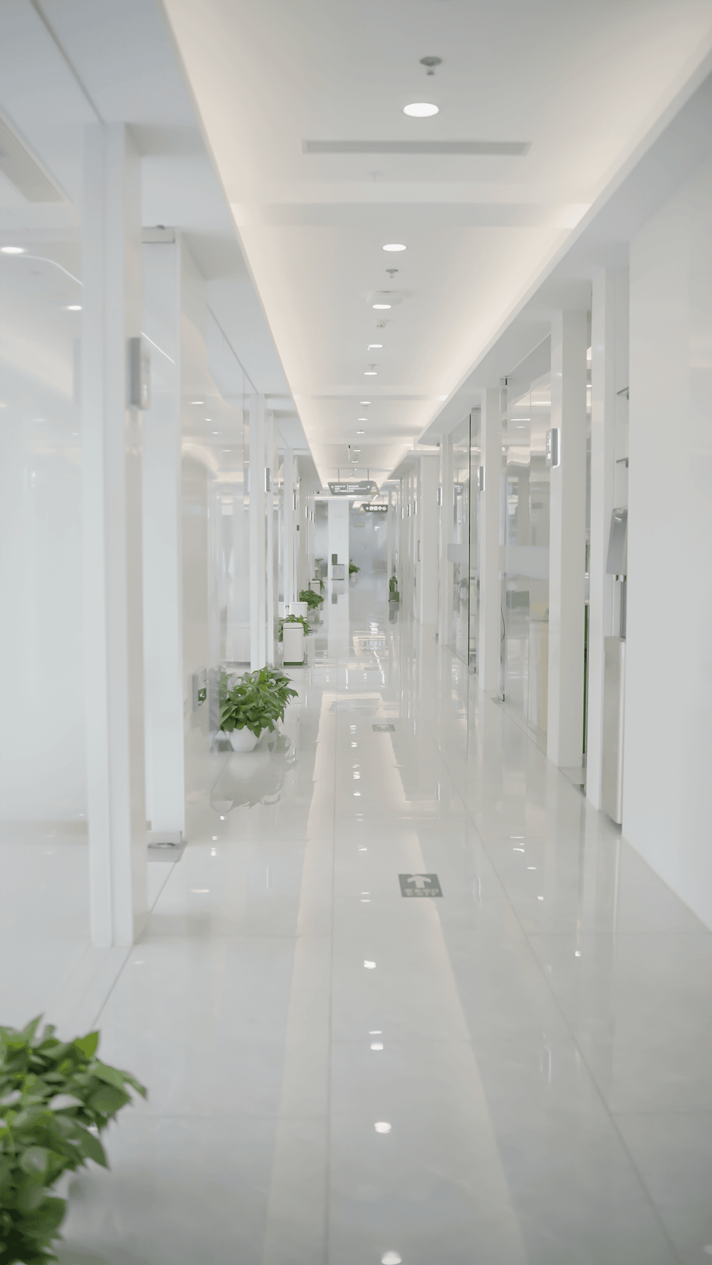 a long white hallway with plants in the middle