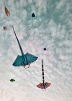 Several colorful kites shaped like stingrays and geometric shapes are soaring against a partly cloudy sky. The kites display vibrant patterns and designs, with the predominant blue and multicolored shades standing out vividly.