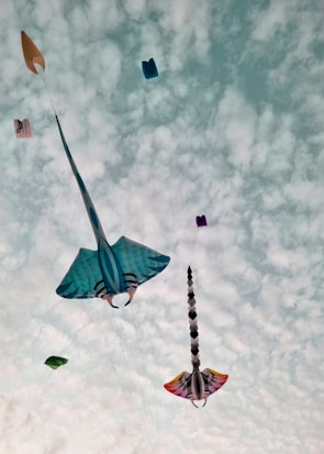 Several colorful kites shaped like stingrays and geometric shapes are soaring against a partly cloudy sky. The kites display vibrant patterns and designs, with the predominant blue and multicolored shades standing out vividly.