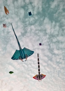 Several colorful kites shaped like stingrays and geometric shapes are soaring against a partly cloudy sky. The kites display vibrant patterns and designs, with the predominant blue and multicolored shades standing out vividly.
