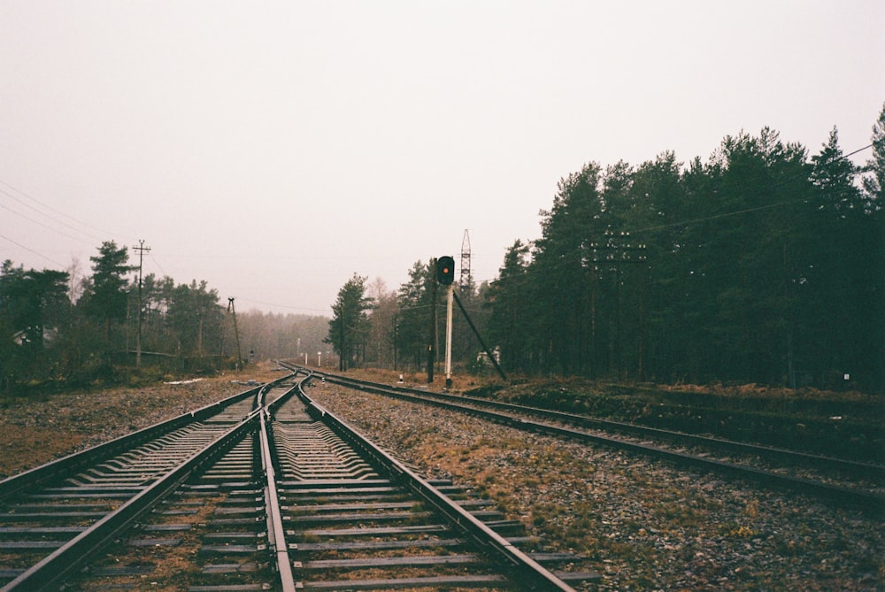 una vía de tren con árboles al fondo