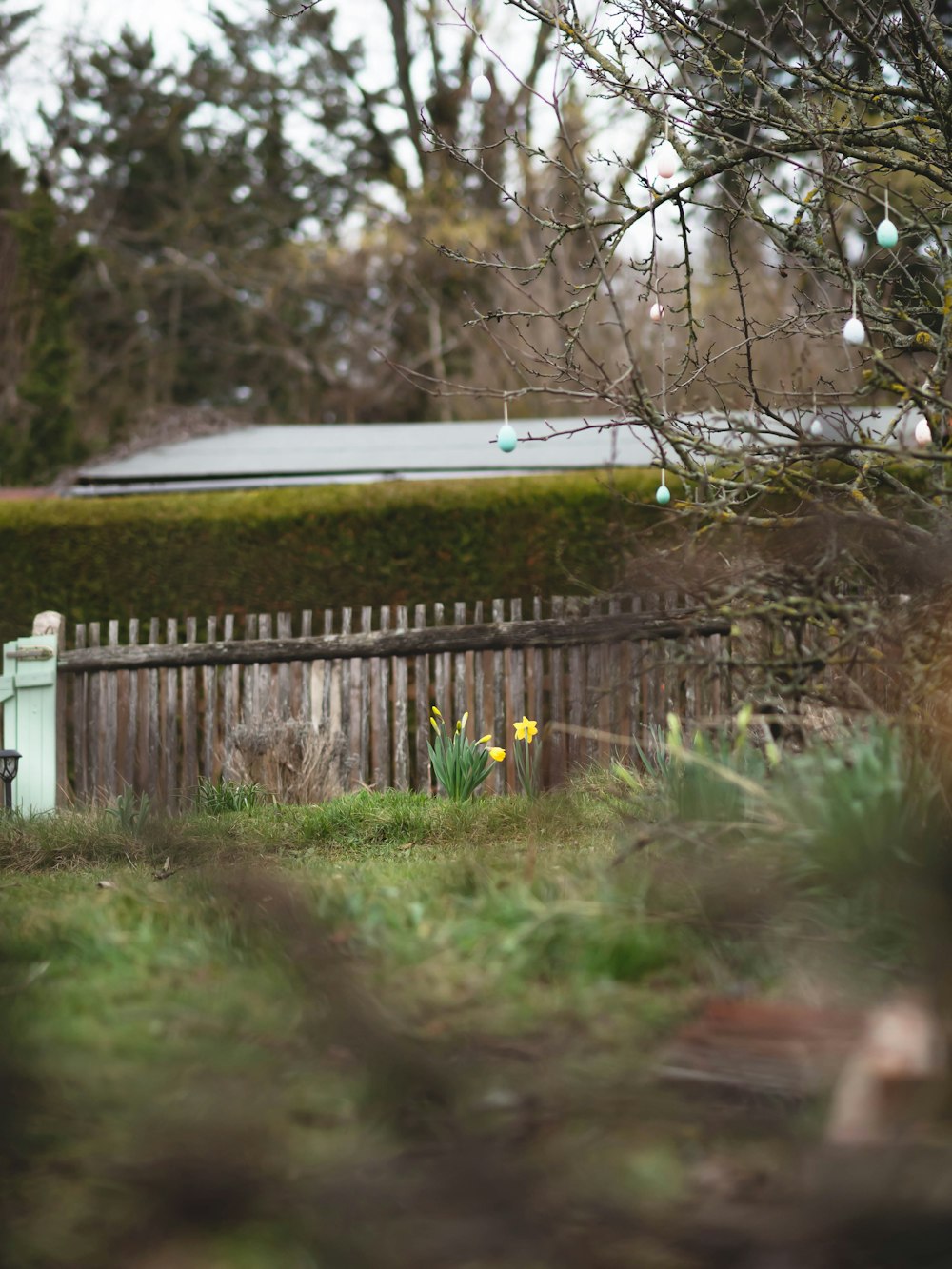 a wooden fence and some flowers in a yard