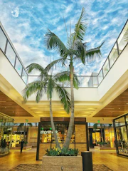 Shopping mall atrium adorned with large artificial trees and decorative pots.