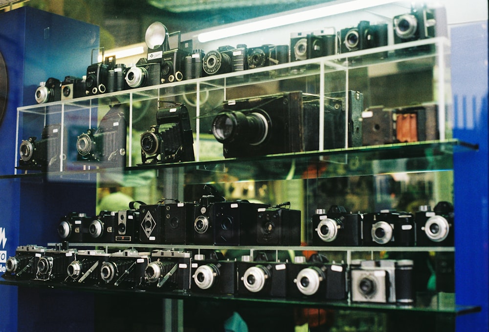 un tas de caméras qui sont sur une étagère