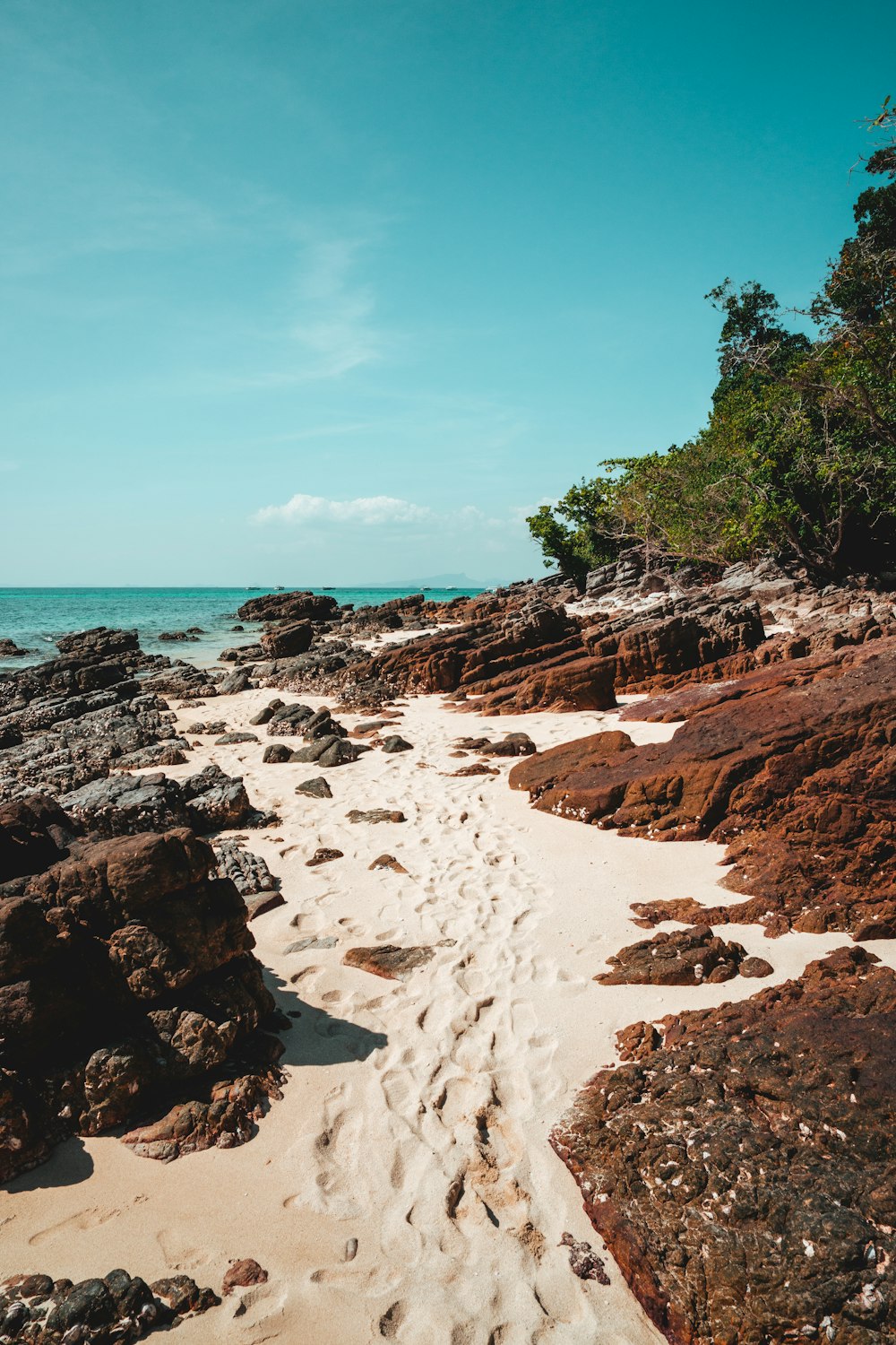 a sandy beach next to the ocean under a blue sky