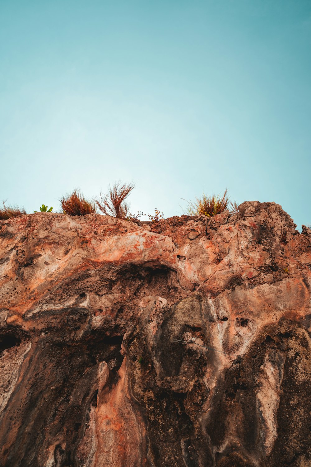 a rock formation with plants growing on top of it