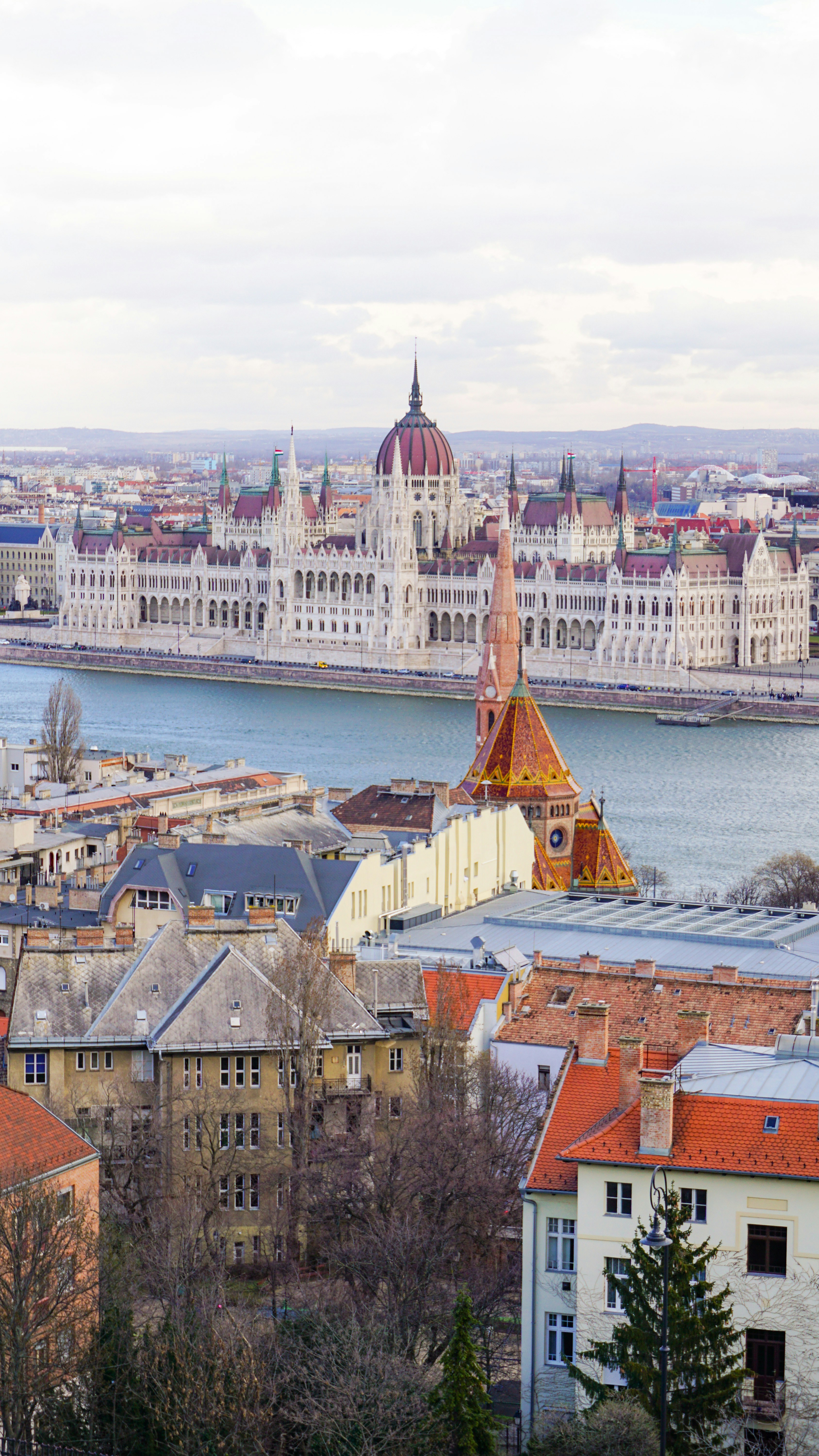 Photo by anjaleemingbecker