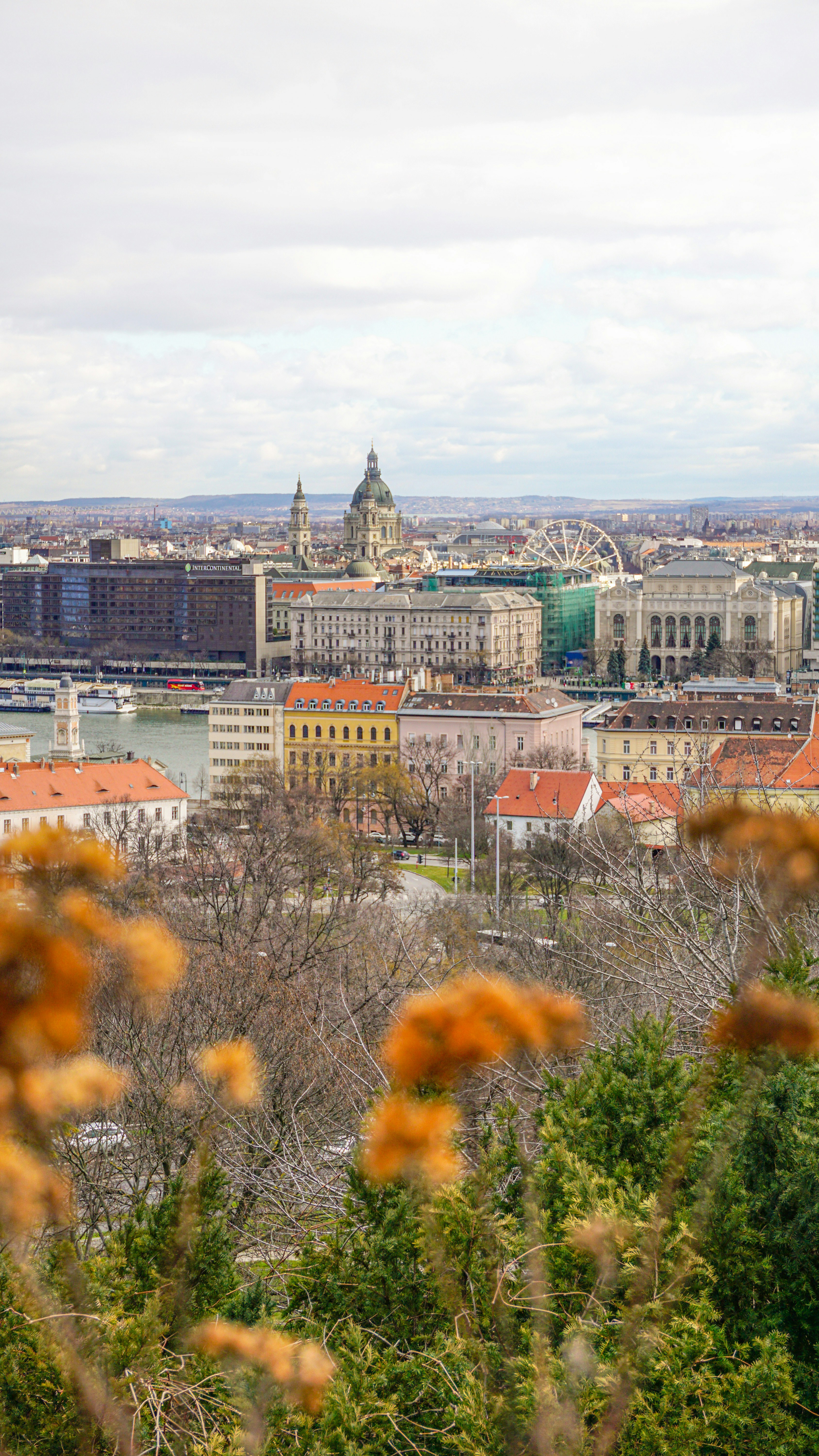 Photo by anjaleemingbecker