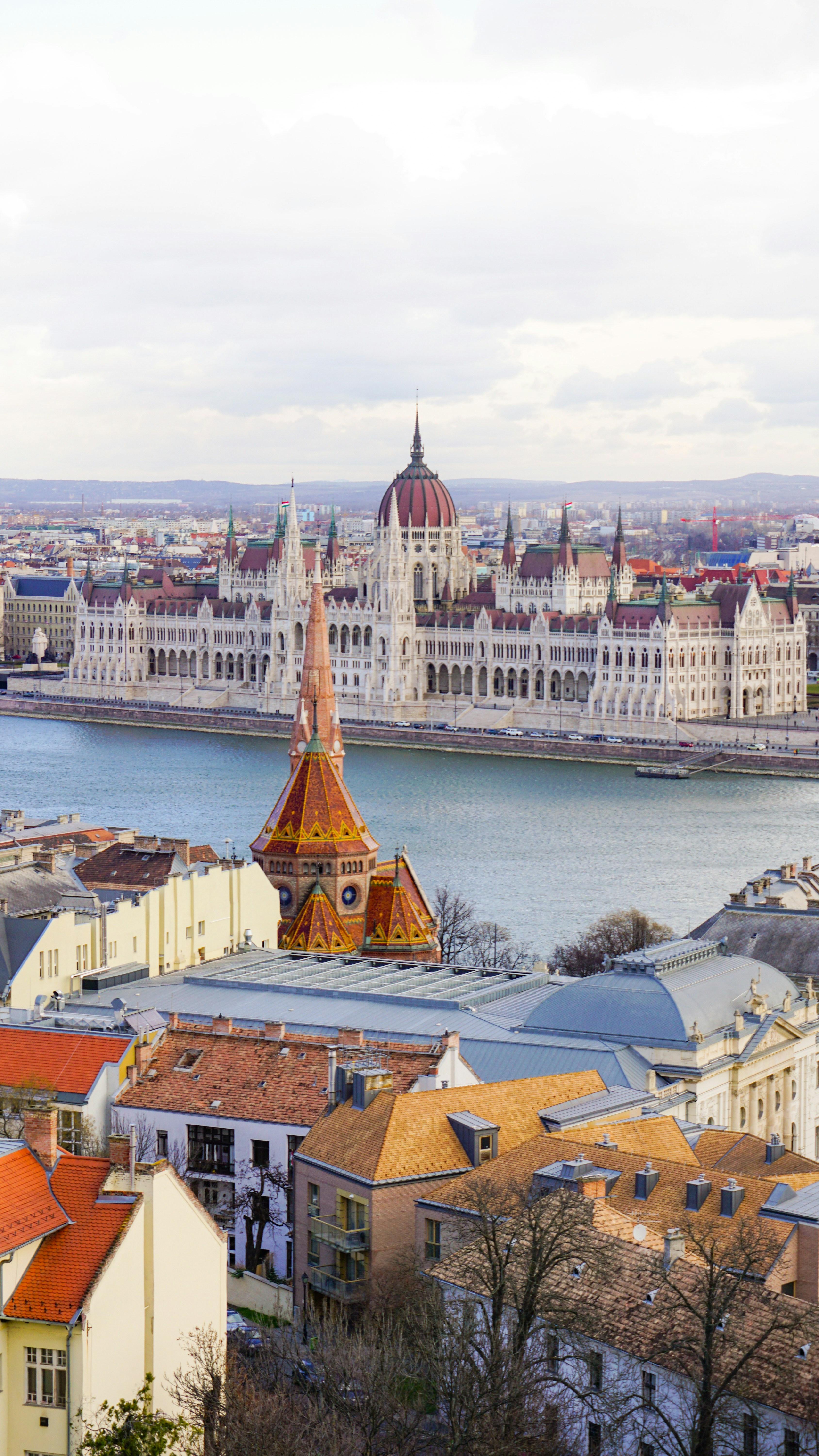 Photo by anjaleemingbecker