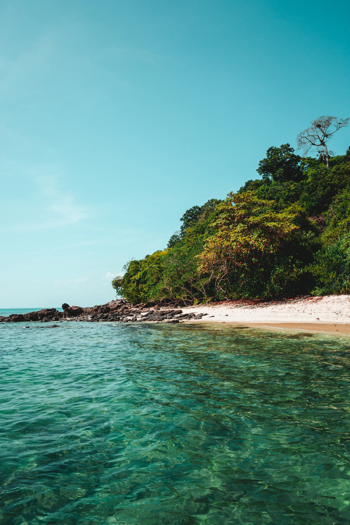 3 days in Ko Lanta with guided tours