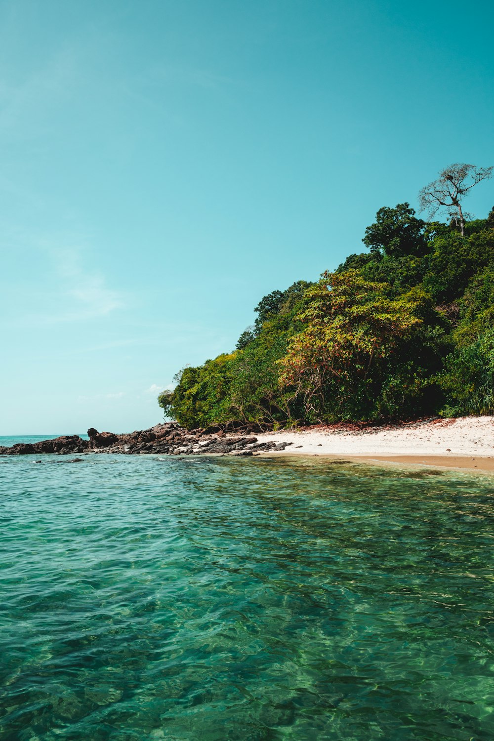 a beach with clear blue water and a small island in the distance