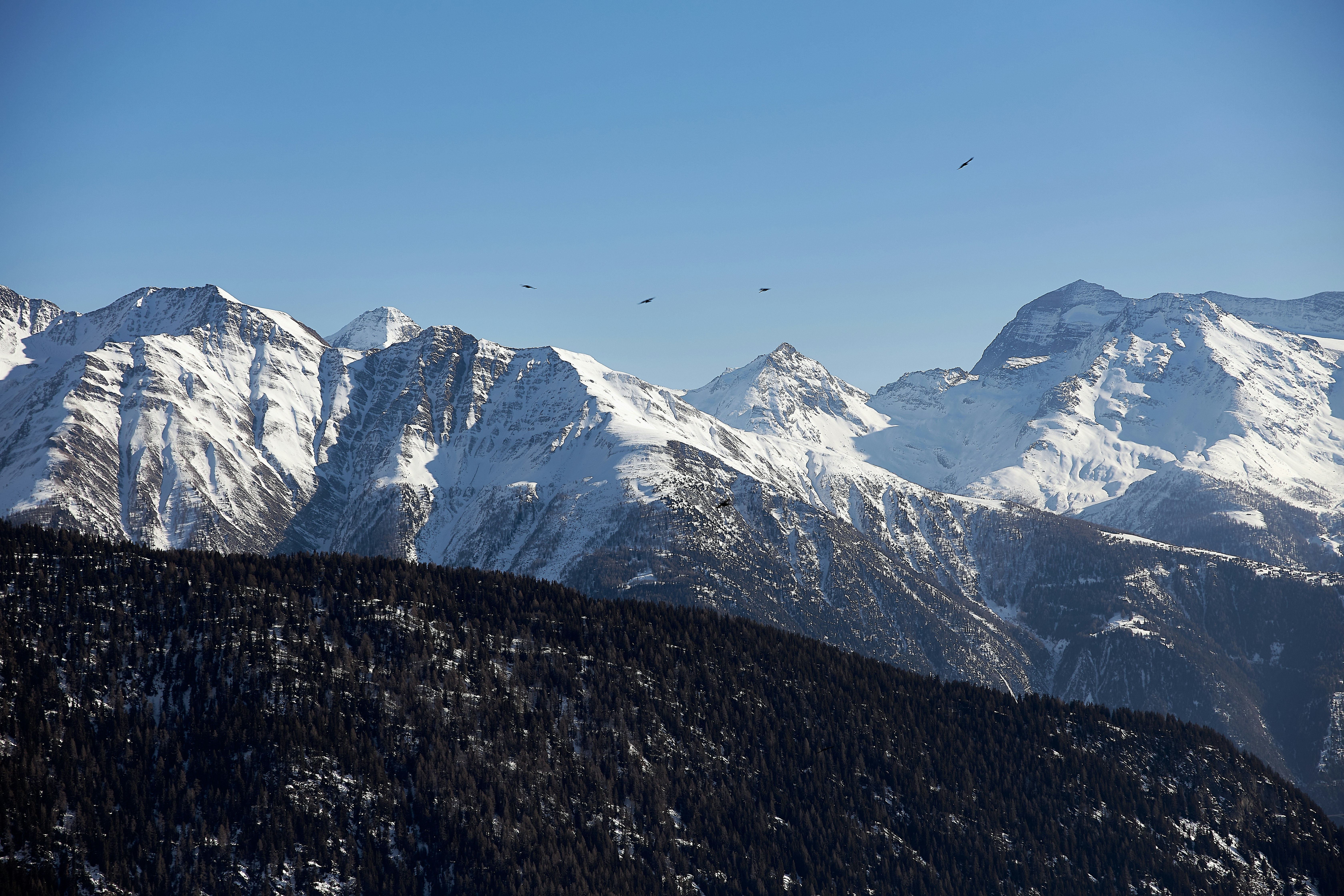 Top Jobs for B2B Marketers #49