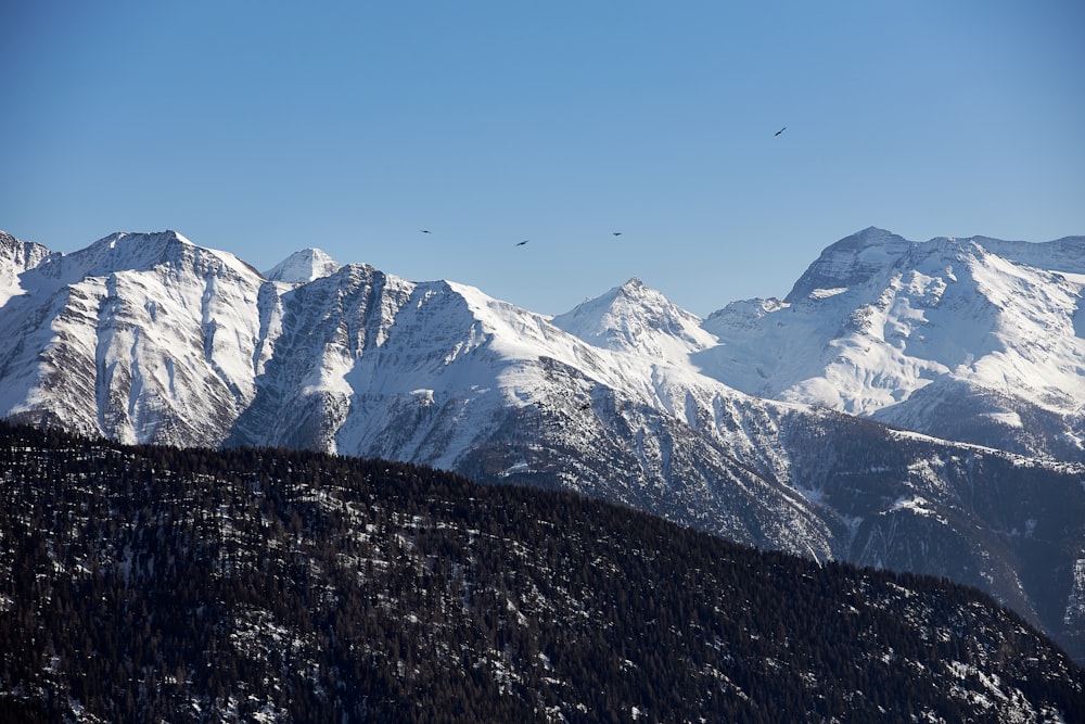 a snowy mountain range with birds flying over it