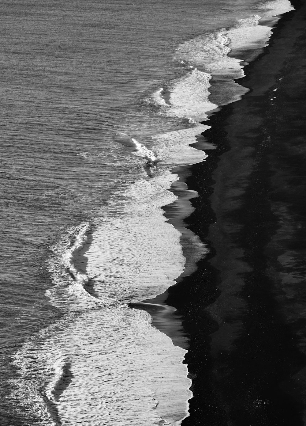 Una foto en blanco y negro de una playa