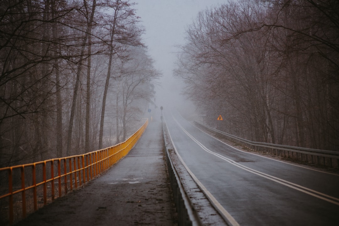 a foggy road with a yellow fence on the side,