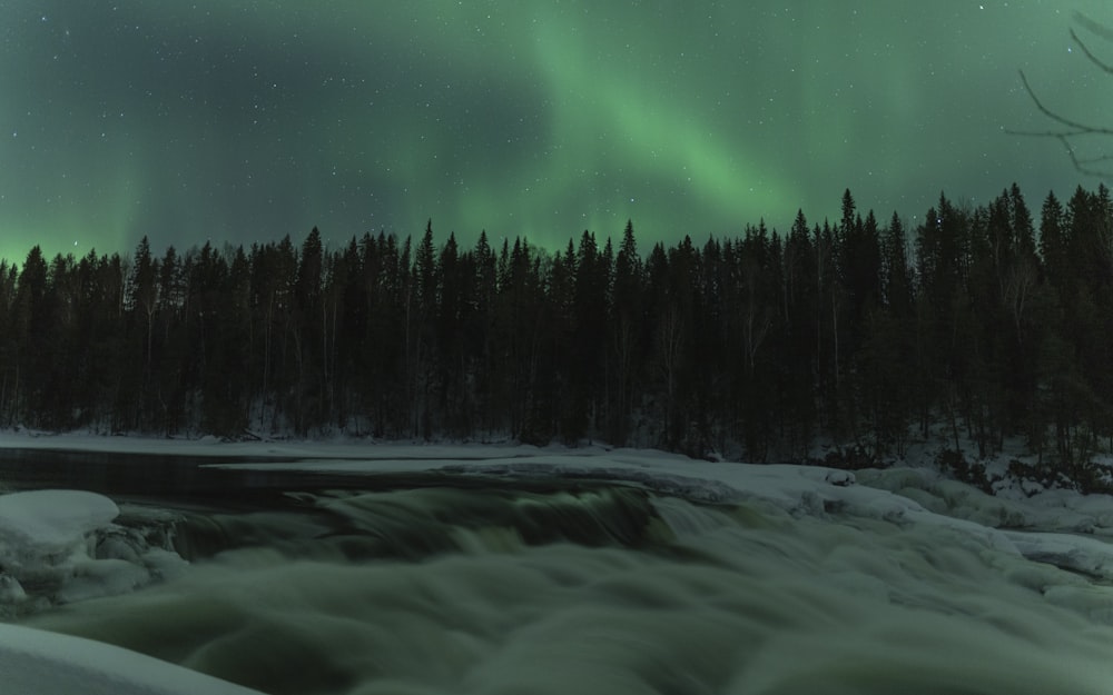 a stream running through a snow covered forest