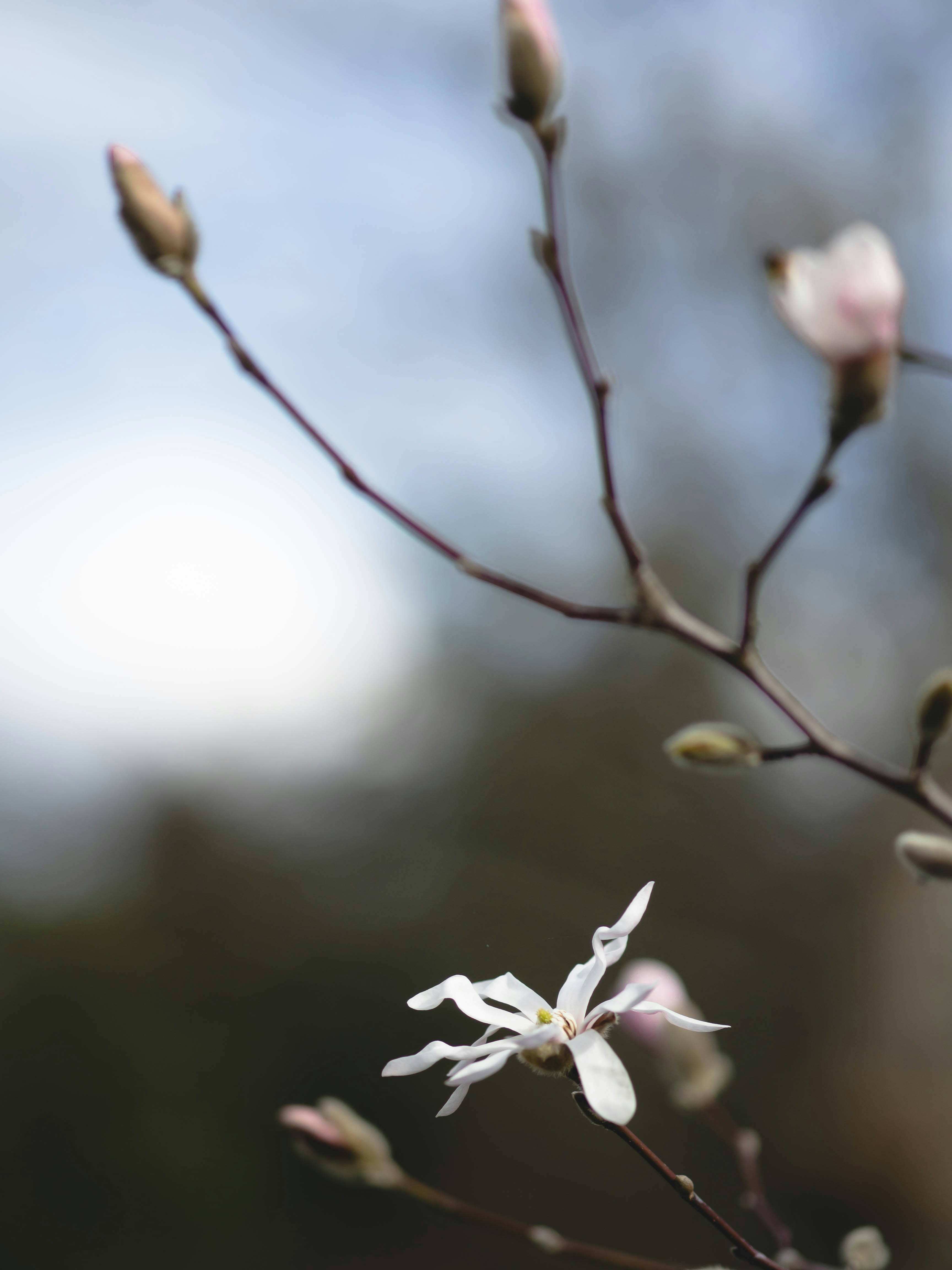 Photo by eileen_kummer