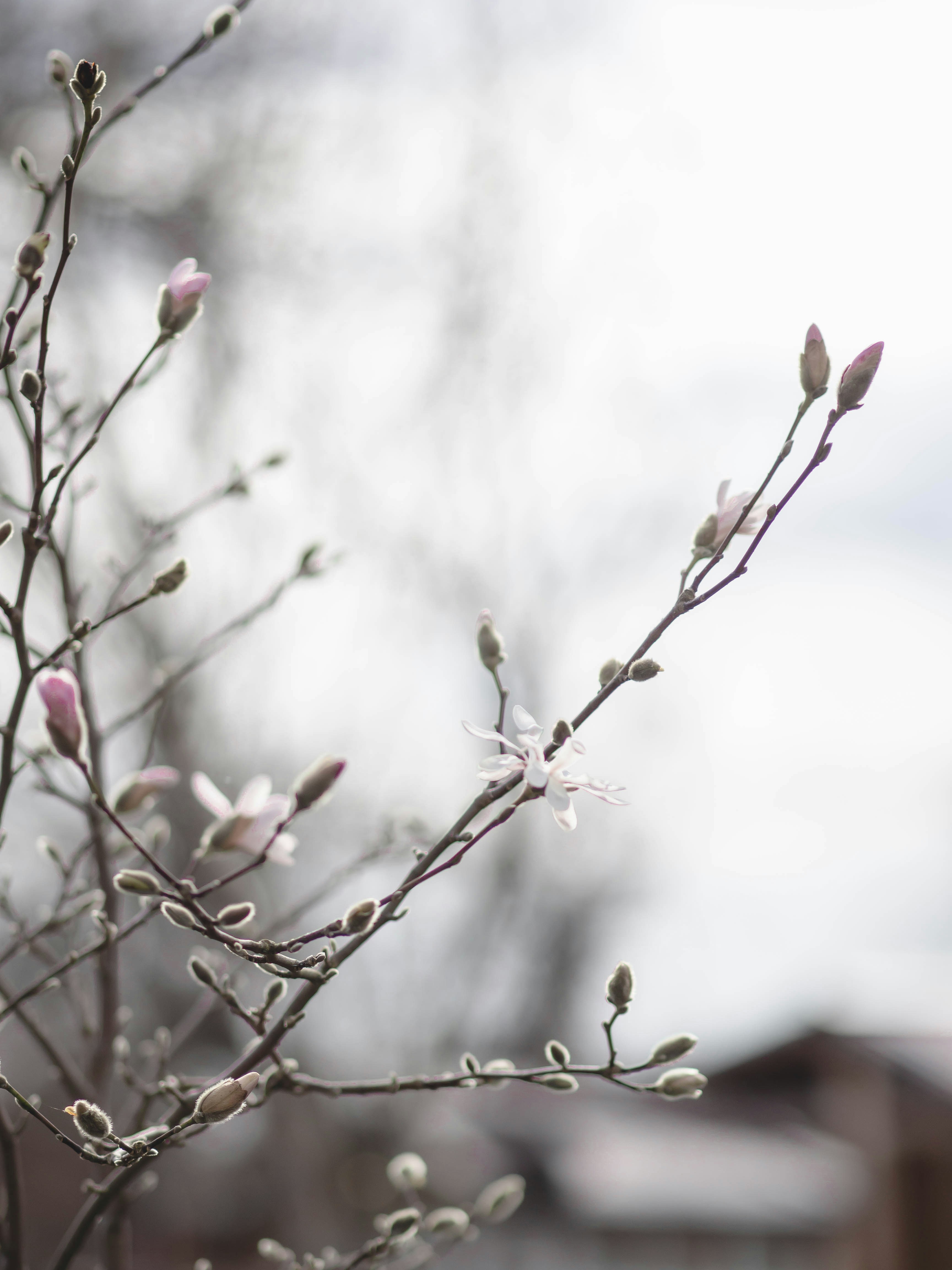 Photo by eileen_kummer