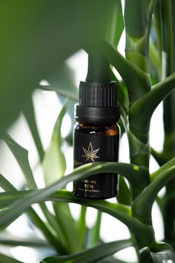 A small amber bottle with a black cap and label featuring a leaf design, nestled among vibrant green leaves of a plant. The bottle is labeled as CBD oil with 20% full spectrum.
