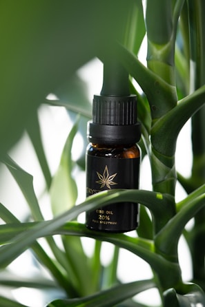 A small amber bottle with a black cap and label featuring a leaf design, nestled among vibrant green leaves of a plant. The bottle is labeled as CBD oil with 20% full spectrum.