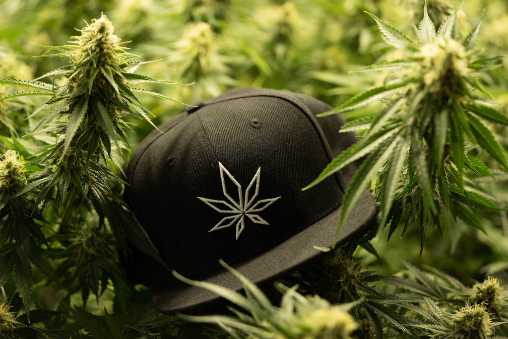 Classic Logo Cap