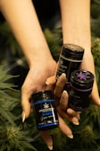 A pair of hands holding three small black containers labeled with product names and surrounded by leafy green plants.