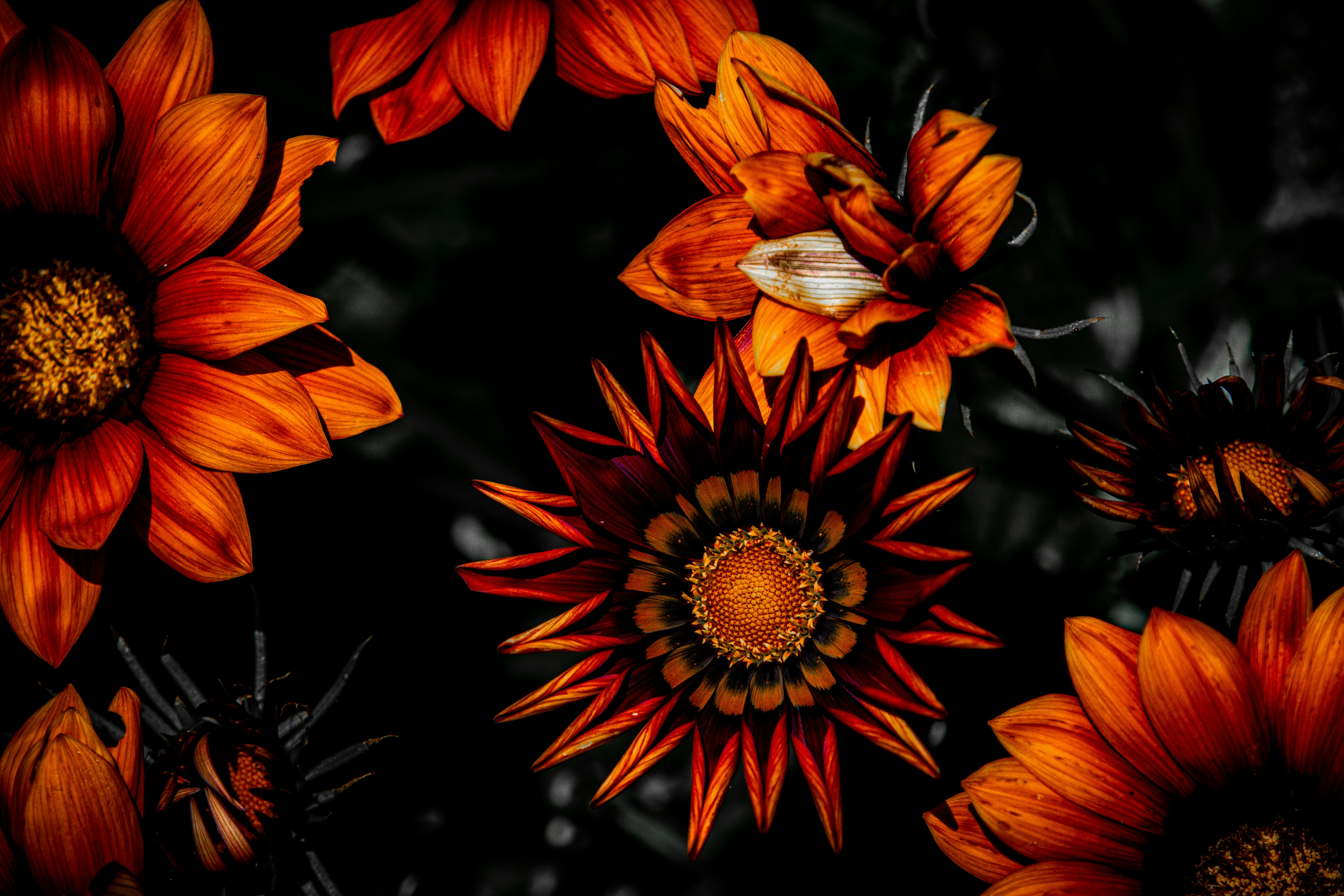 Photo by amritzerromophotography