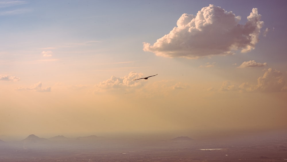 a bird flying in the sky over a mountain range