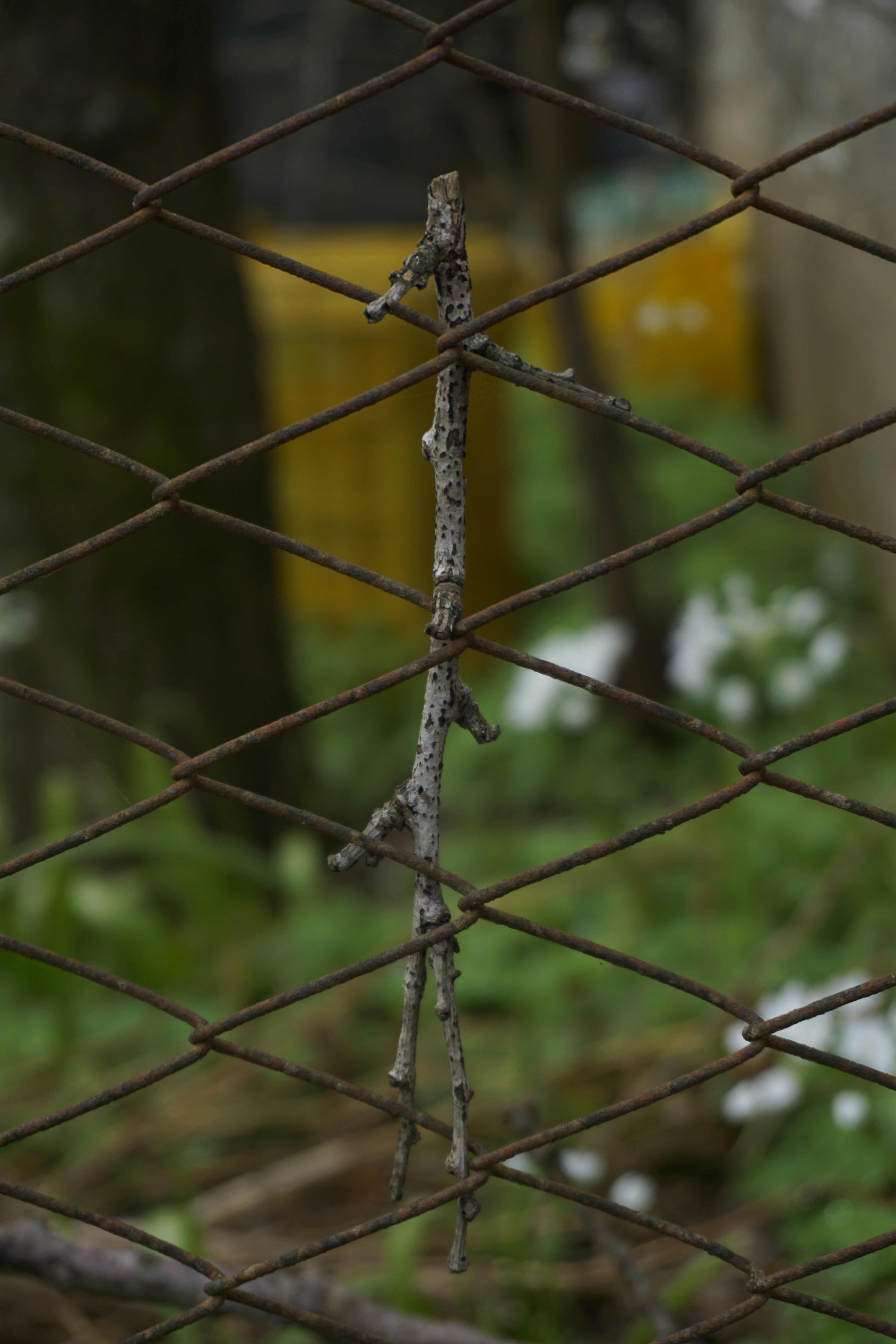 Photo by hardialsingh