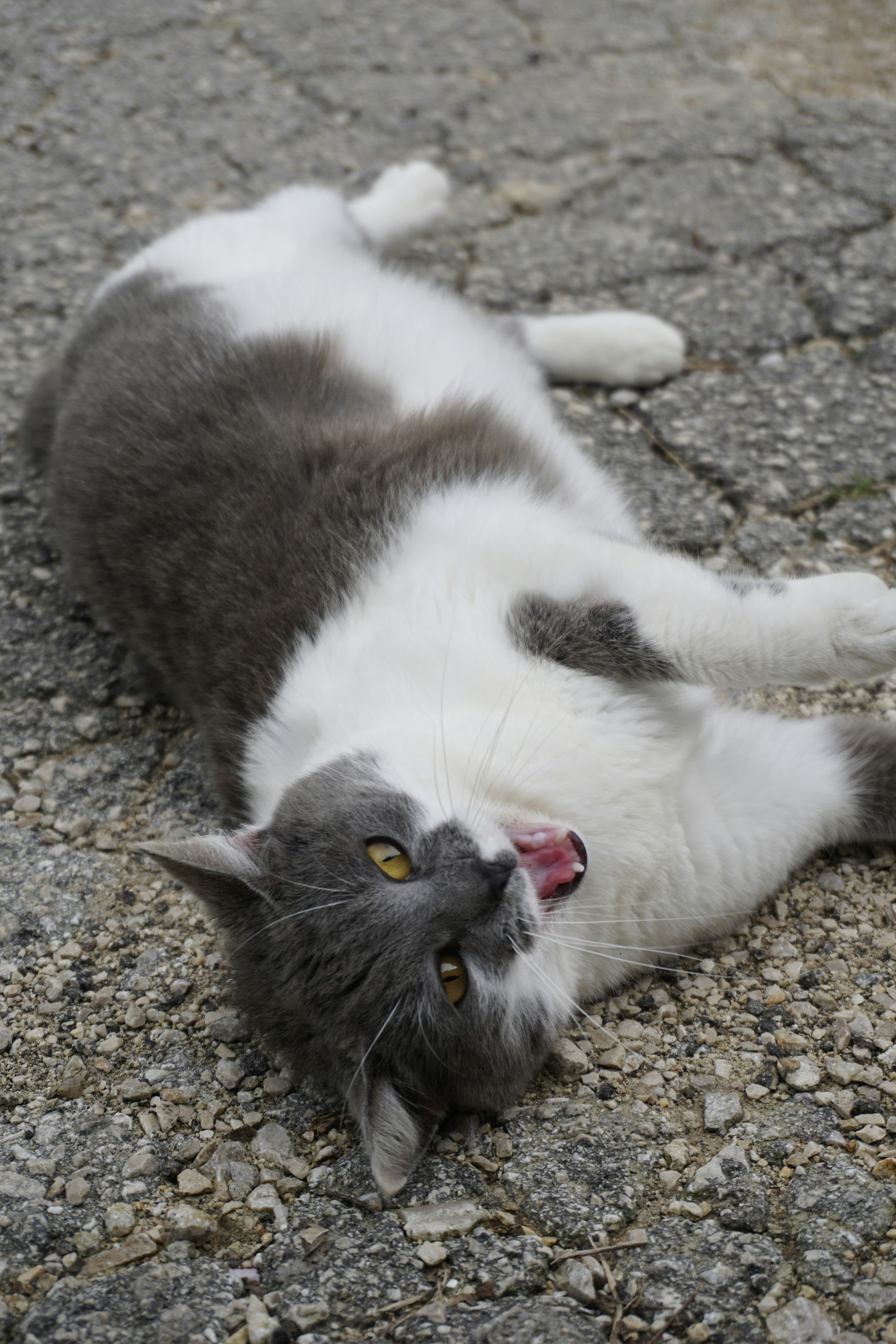 Photo by hardialsingh