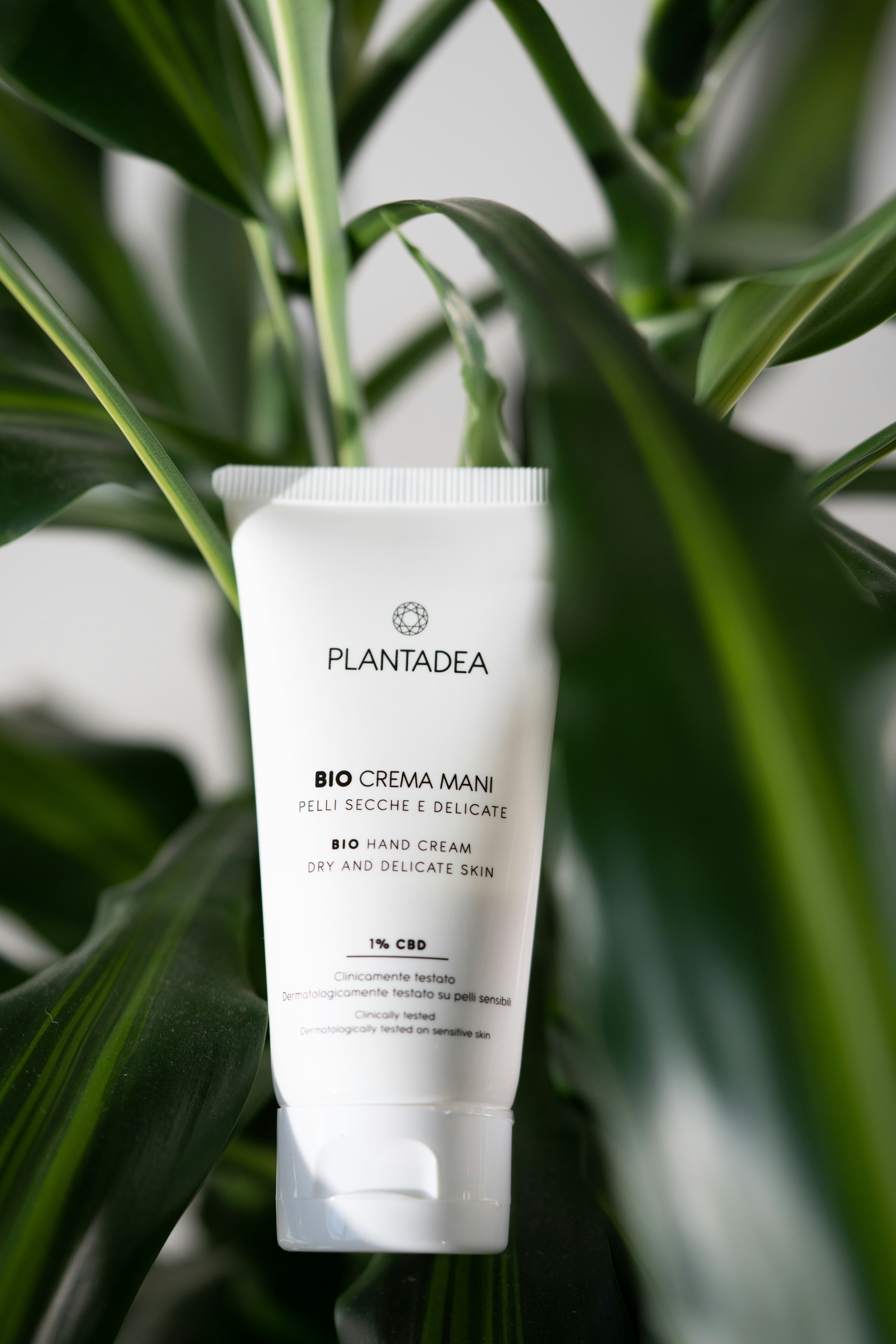 a white tube of cream sitting on top of a green plant