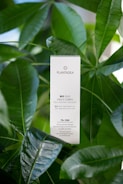 A white rectangular box labeled 'PLANTADEA' and 'BIO OLIO VISO E CORPO' is surrounded by lush green leaves. The product claims to be a bio face and body oil suitable for dry and delicate skin, mentioning it contains 1% CBD and is dermatologically tested.