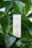 A white rectangular box labeled 'PLANTADEA' and 'BIO OLIO VISO E CORPO' is surrounded by lush green leaves. The product claims to be a bio face and body oil suitable for dry and delicate skin, mentioning it contains 1% CBD and is dermatologically tested.