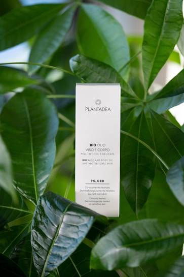 A white rectangular box labeled 'PLANTADEA' and 'BIO OLIO VISO E CORPO' is surrounded by lush green leaves. The product claims to be a bio face and body oil suitable for dry and delicate skin, mentioning it contains 1% CBD and is dermatologically tested.