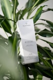 A box of skincare product labeled 'PLANTADEA' is positioned among lush, green tropical leaves. The product is described as a 'BIO BODY CREAM' intended for dry and delicate skin, containing 1% CBD. It is clinically and dermatologically tested, with text in both Italian and English highlighting these features.