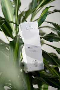 A box of skincare product labeled 'PLANTADEA' is positioned among lush, green tropical leaves. The product is described as a 'BIO BODY CREAM' intended for dry and delicate skin, containing 1% CBD. It is clinically and dermatologically tested, with text in both Italian and English highlighting these features.